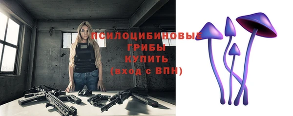 spice Нязепетровск