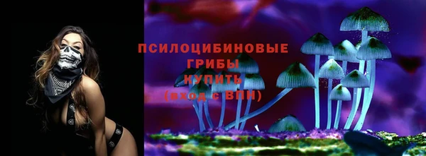 spice Нязепетровск