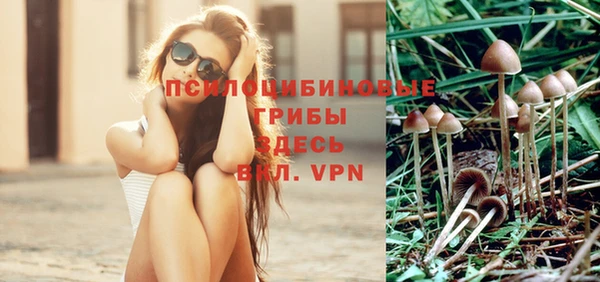 spice Нязепетровск