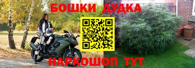 индика Конаково