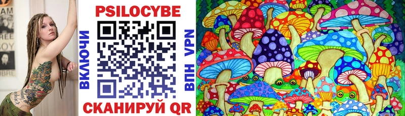 где продают наркотики  Рубцовск  Галлюциногенные грибы Psilocybine cubensis 