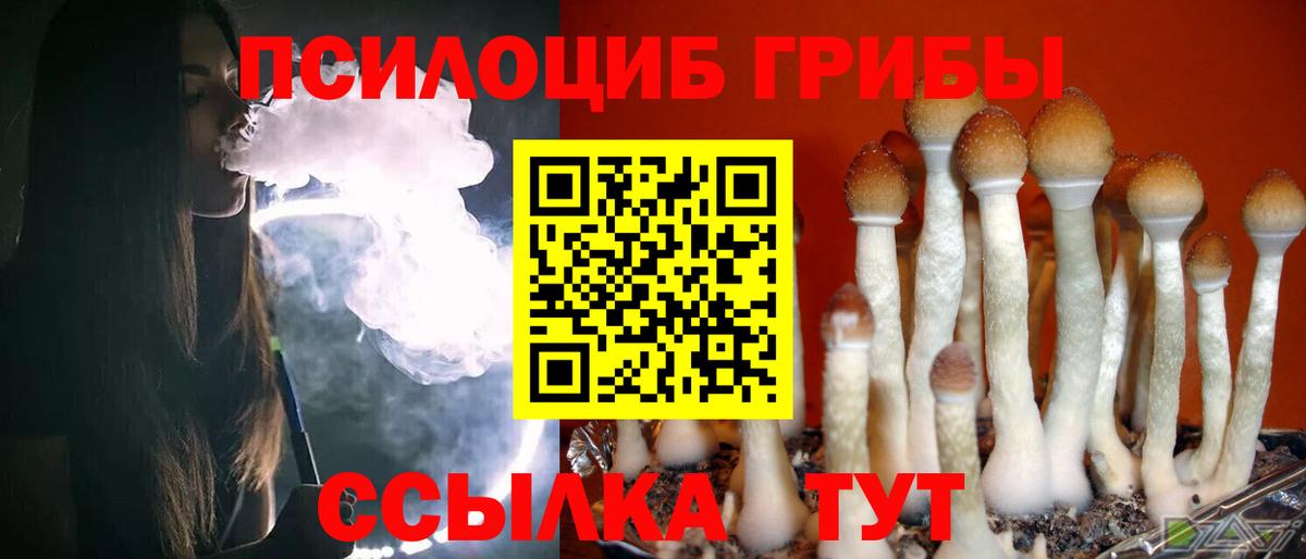 Галлюциногенные грибы MAGIC MUSHROOMS  Галлюциногенные грибы Psilocybine cubensis  Вход с VPN  Рубцовск 